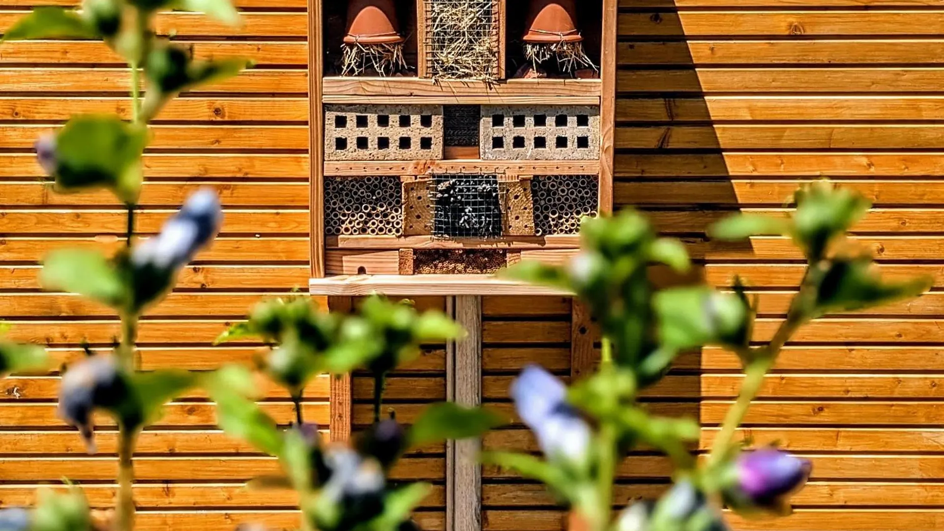 Villa Font Vive - Chambres D'Hotes Eco-Labellisees Avec Cuisine - Confort, Calme Et Vue Exceptionnels ! Grospierres